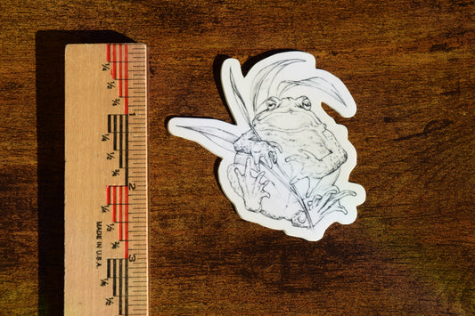 american toad sticker