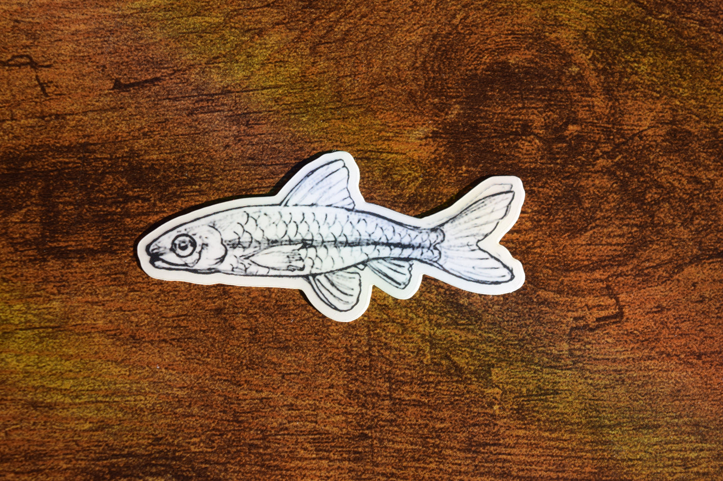 fish sticker