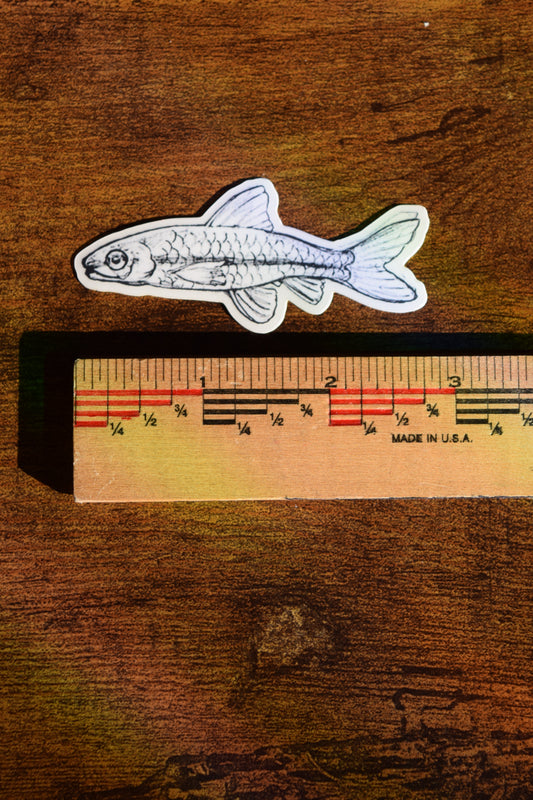 fish sticker