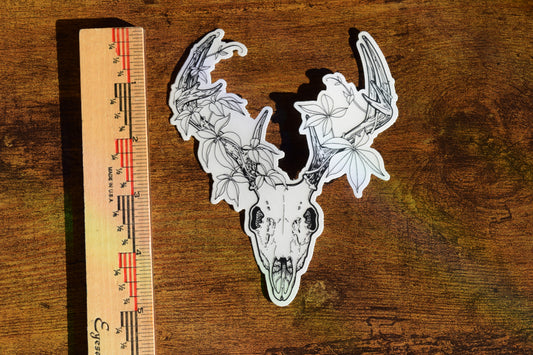 deer skull sticker