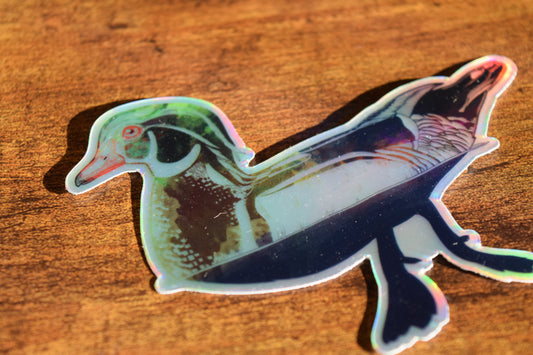 wood duck sticker