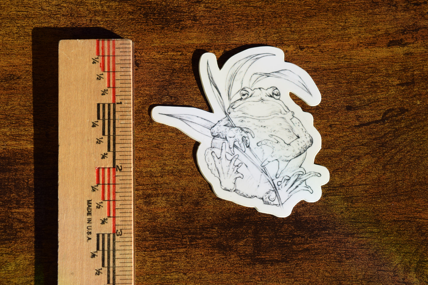 american toad sticker