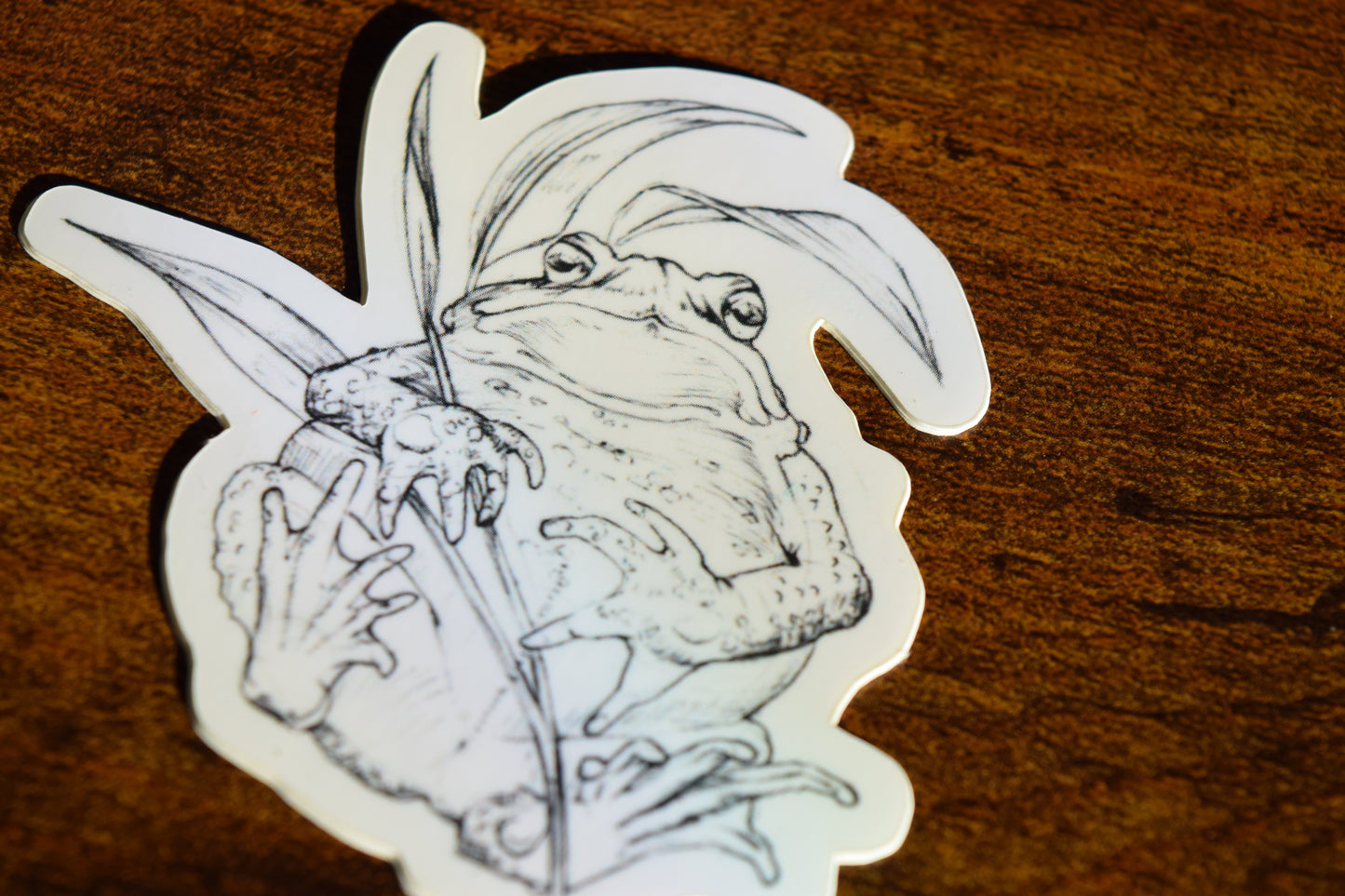 american toad sticker