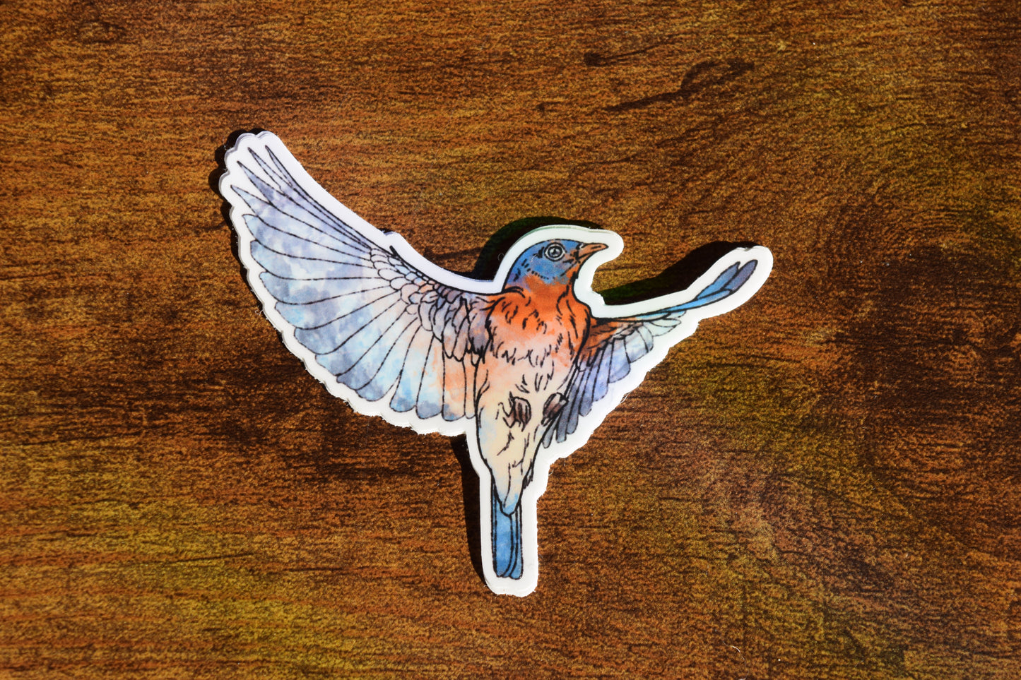 eastern bluebird sticker