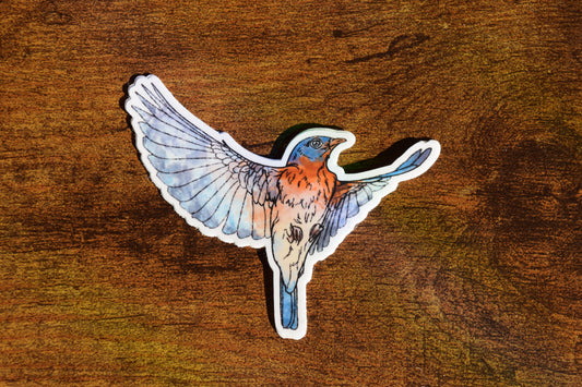 eastern bluebird sticker
