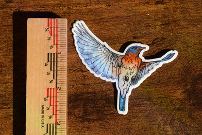 eastern bluebird sticker