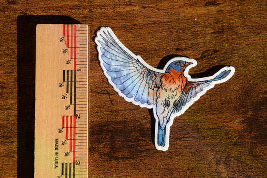 eastern bluebird sticker