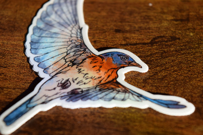 eastern bluebird sticker