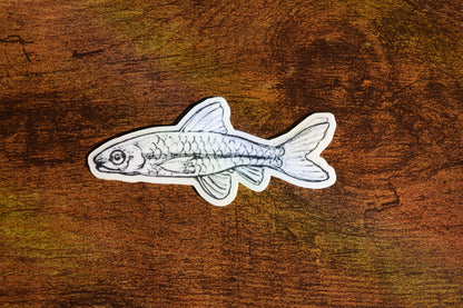 fish sticker
