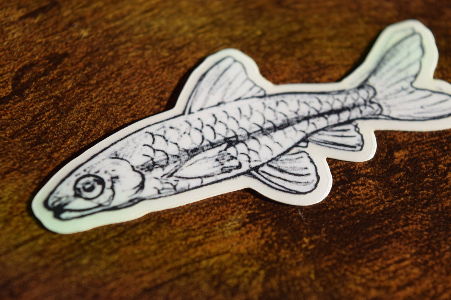 fish sticker