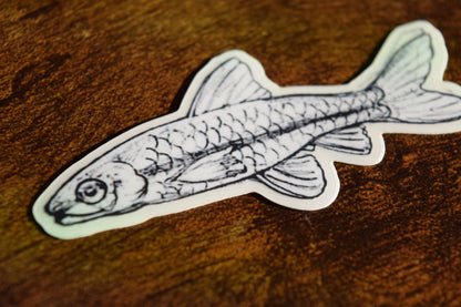 fish sticker