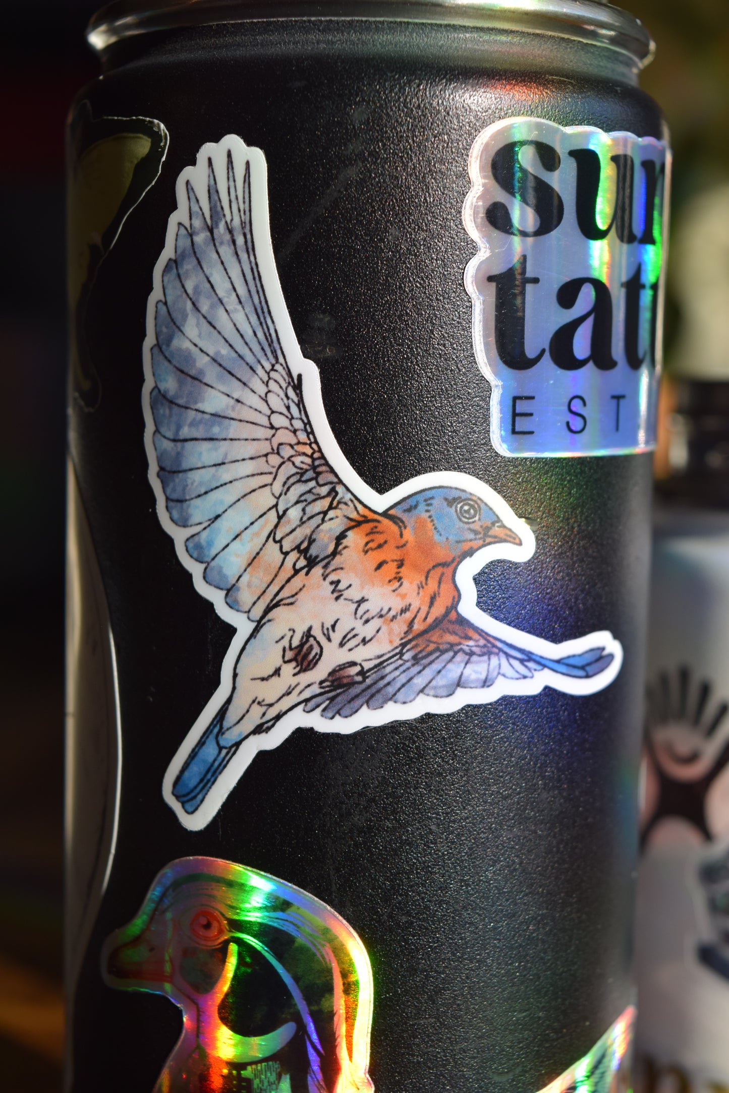 eastern bluebird sticker